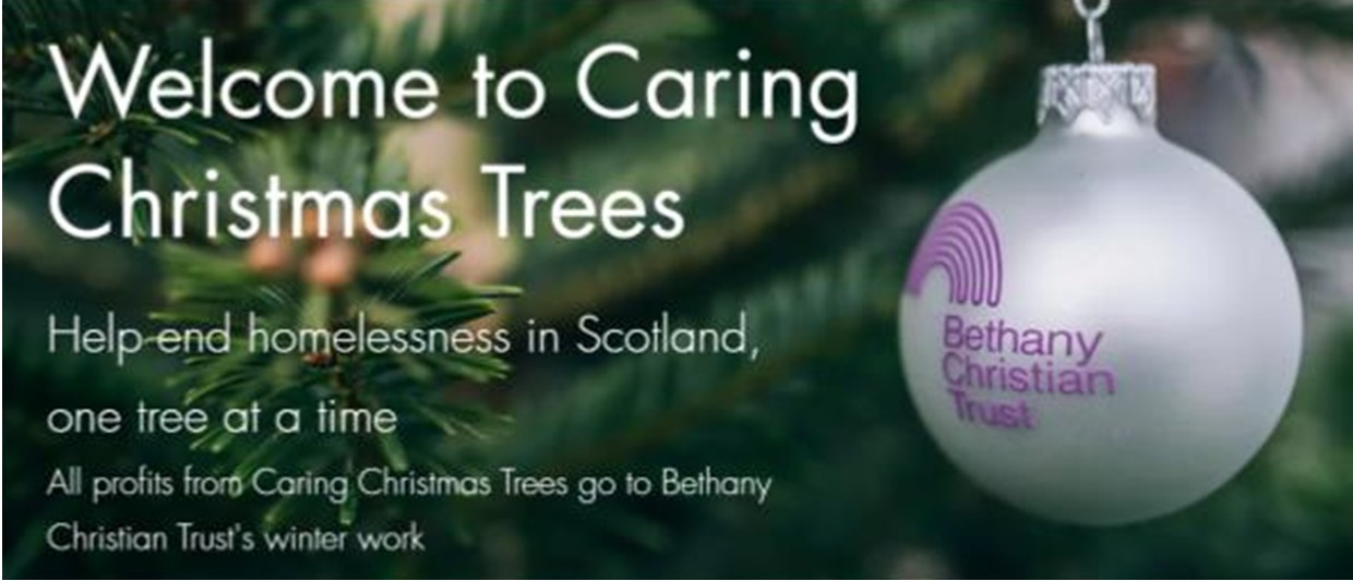 bethany trees